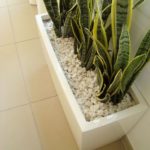 amenagement interieur plante